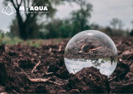 M-Aqua Kft.