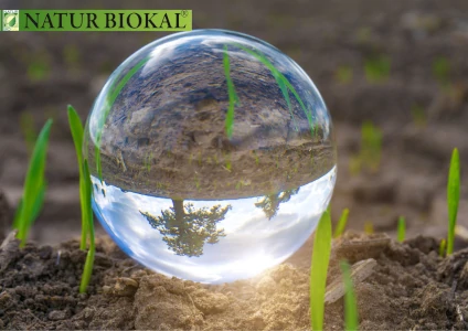 BIOKAL INTERNATIONAL Kft.